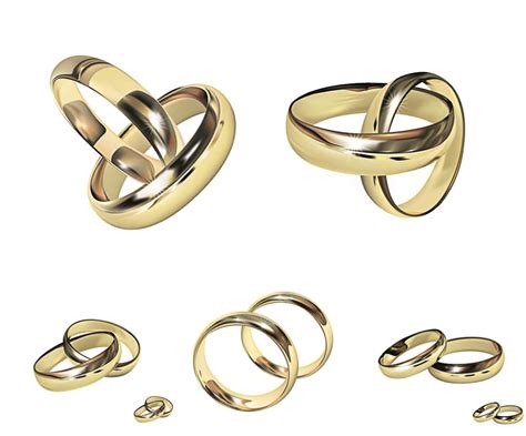 Gold wedding rings in classic style vector graphics – Free Download ...