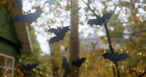 Bats Hanging On Branches · Free Stock Video