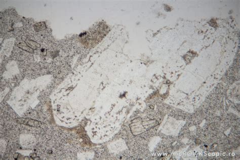 Plagioclase thin section - Tectosilicates - MicROCKScopic