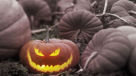 9eerie9 1366*768 Eerie Autumn Halloween, Spooky Halloween 15 HD ...