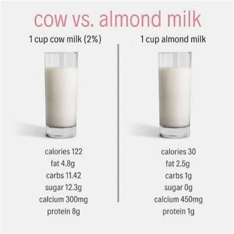 Nutrition Comparison: Whole Milk Vs Almond Milk