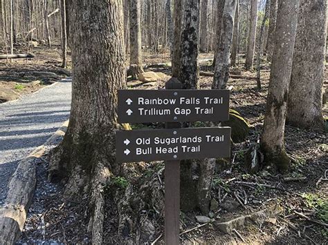 Rainbow Falls Trail | Mt LeConte | Roaring Fork Nature TrailSmoky ...