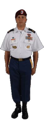 United States Army Service Uniform | Army uniform, Mens shirts, Army service uniform