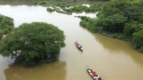 Ratargul Swamp Forest: Travel Guideline (A To Z) - Travel Mate