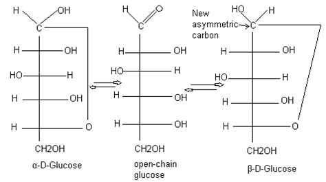 Alpha And Beta Glucose Ring Structure