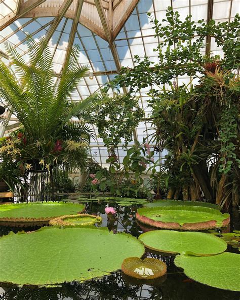 Conservatory of Flowers - Events, Things to Do in San Francisco - Attraction, Landmark, Park ...