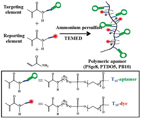 IJMS | Free Full-Text | Progress and Challenges in Developing Aptamer-Functionalized Targeted ...