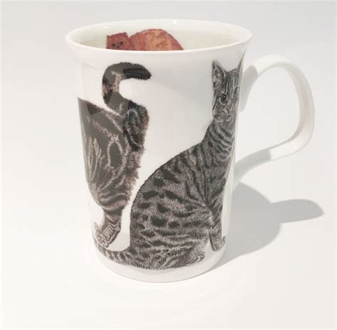 Roy Kirkham - Cats Galore Mug -Tabby - Animal Gifts 4 U