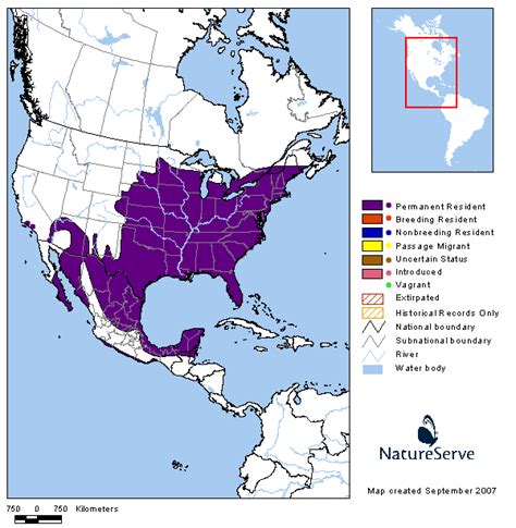 Tennessee Watchable Wildlife | Northern Cardinal - Habitat: FOREST