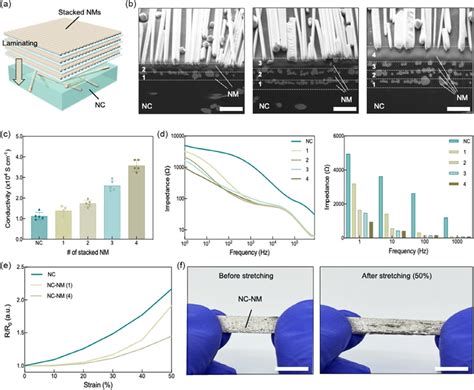 Further enhancement of the material properties of the NC-NM by... | Download Scientific Diagram