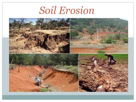 Soil erosion | PPT