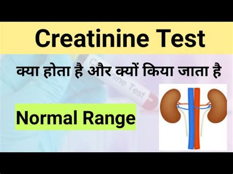 Olağanüstü kapanıyorum Dijital serum creatinine test normal range ...