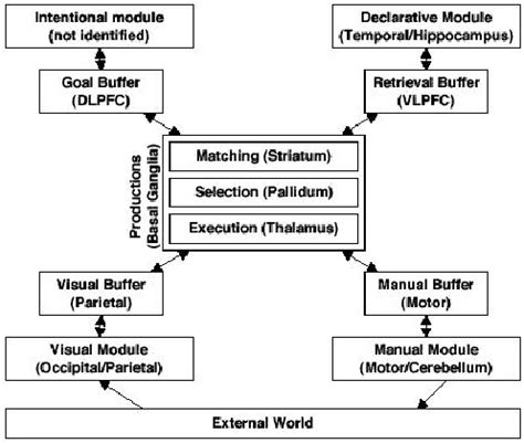 Modular View of the ACT-R Cognitive Architecture | Download Scientific Diagram