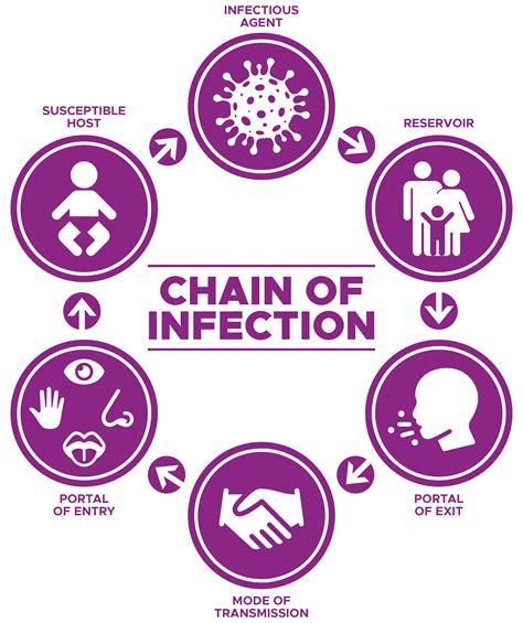 Understanding the Chain of Infection