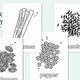 Spices Coloring Pages For Kids  Etsy sketch template