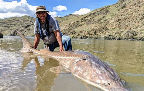 Guided Fishing Trips on the Snake River - Reel Time Fishing