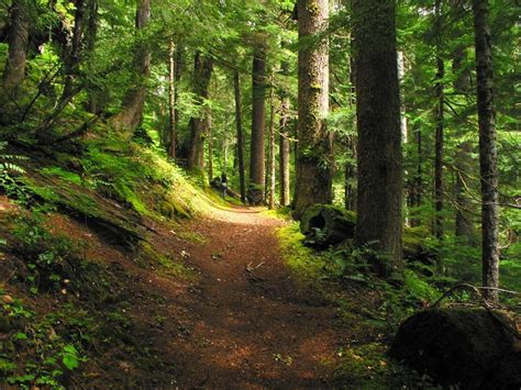 1000+ images about northwest hiking trails on Pinterest | Hiking trails, Parks and Washington