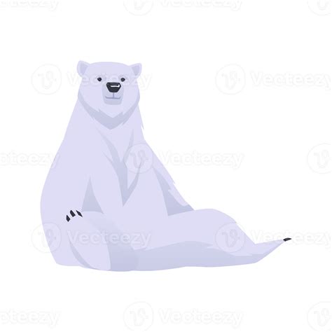 Polar Arctic circle bear animal sitting in funny pose, flat isolated. 24750149 PNG