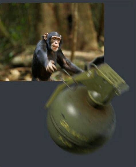 Monkey throwing grenade | Discord Games | Know Your Meme