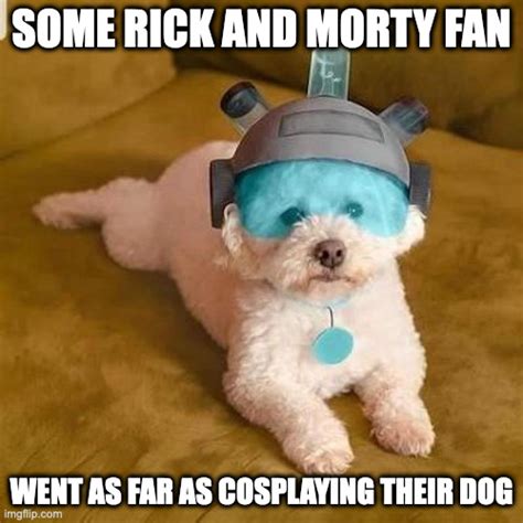 Rick and Morty Dog Cosplay - Imgflip