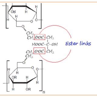 (PDF) Synthesis of Cellulose-Based Superabsorbent Hydrogel from Rice ...