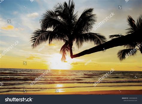 Coconut Tree On Beach Sunset Sky Stock Photo 1260268249 | Shutterstock