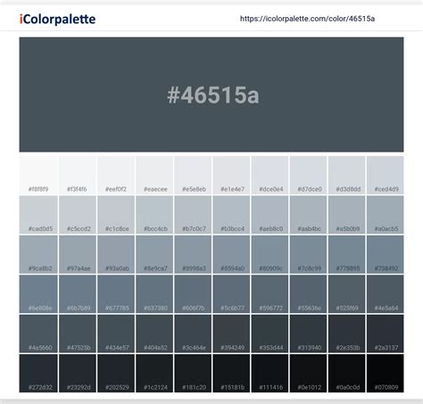 Pantone 19-4220 Tcx Dark Slate Color | Hex color Code #46515a information | Hsl | Rgb | Pantone