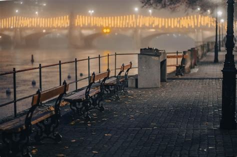 Premium Photo | Scenic view of wooden benches in a park during autumn