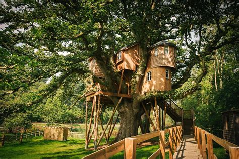 Best treehouse hotels in the UK: 10 for a weekend away