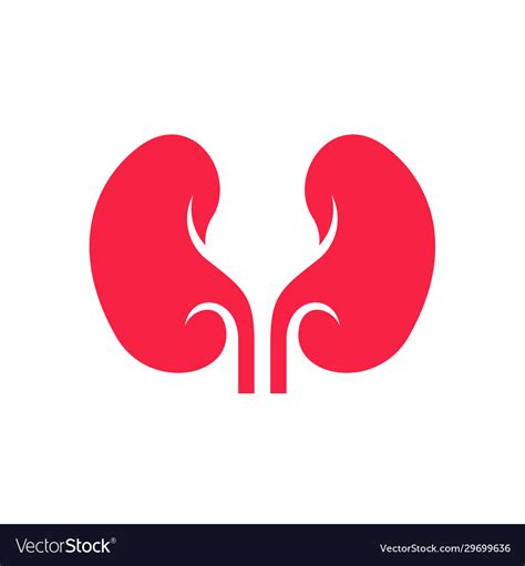 Kidney Logo Design