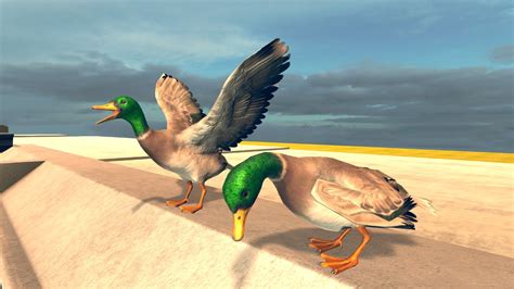 Bird Simulator: системные требования, дата выхода, описание игры.