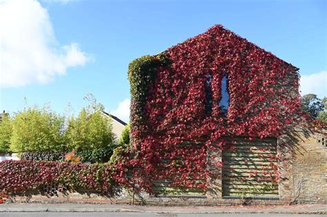 Stretham: The peaceful Cambridgeshire village that's ideal for a day ...