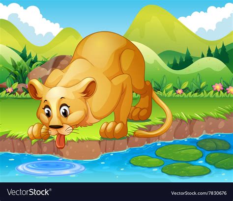 Lion drinking water in the pond Royalty Free Vector Image