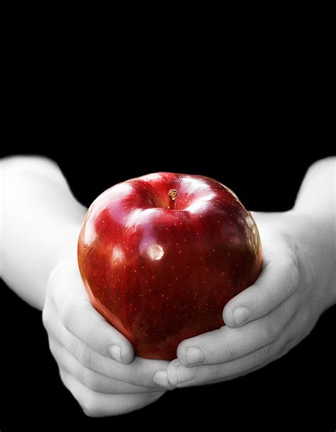 Hands Holding Apple Photograph by Trudy Wilkerson - Pixels