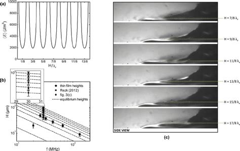 (Color online) (a) Acoustic energy density, wherein local energy minima ...