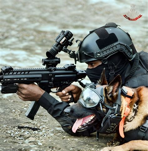 National Security Guard (NSG) Commando with SIG SAUER MPX + Romeo Red Dot Sight and K9 Belgian ...