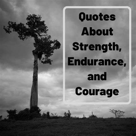 My Favorite Quotes About Strength, Courage, and Not Giving Up - HubPages