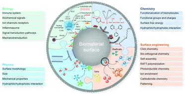 Biological responses to physicochemical properties of biomaterial surface - Chemical Society ...