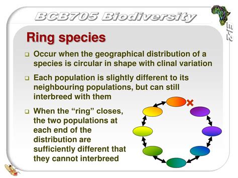 PPT - Evolution: Selection and Speciation PowerPoint Presentation, free download - ID:209710