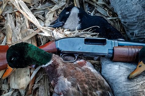 The 12 Gauge Shotgun: Do You Really Need Anything Else?