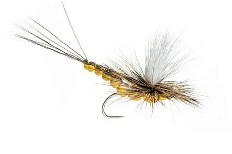 Dry Flies for Trout - Ed McCoy - Northern Michigan