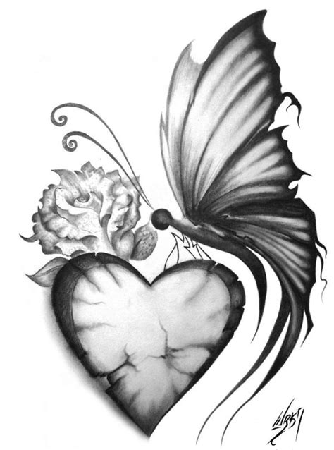 Butterfly Pencil Drawing