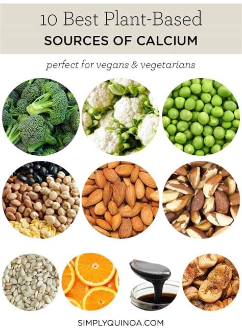 10 TOP Vegan Sources of Calcium | Foods High in Calcium | Simply Quinoa