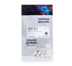 CyQUANT NF Cell Proliferation Assay Kit - Thermo Fisher Scientific