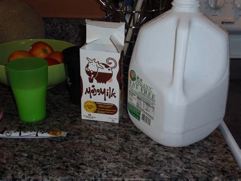 The Honest Dietitian: MojoMilk Probiotic Chocolate Milk Review
