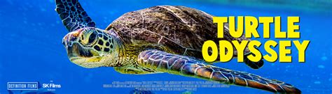 Turtle Odyssey - IMAX Victoria