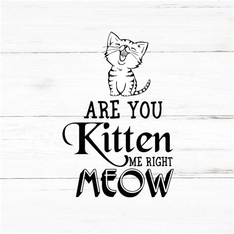 Kitten Svg, Kitten Png, Kitten Bundle, Kitten Designs, Kitten Cricut - Etsy