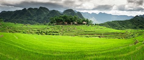 Trekking in Mai Chau & Pu Luong Nature Reserve - The Terrible Tour ...