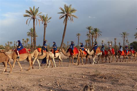 Camel Riding in Morocco - Sparkles and Shoes