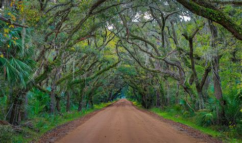 The Best Edisto Island Hotels on the Beach - Free Cancellation on ...